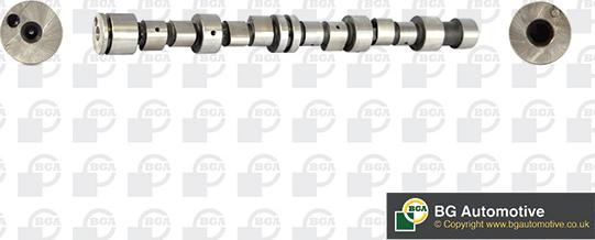 Wilmink Group WG1490581 - Camshaft autospares.lv