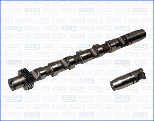 Wilmink Group WG1456645 - Camshaft autospares.lv