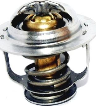 Wilmink Group WG1409289 - Coolant thermostat / housing autospares.lv