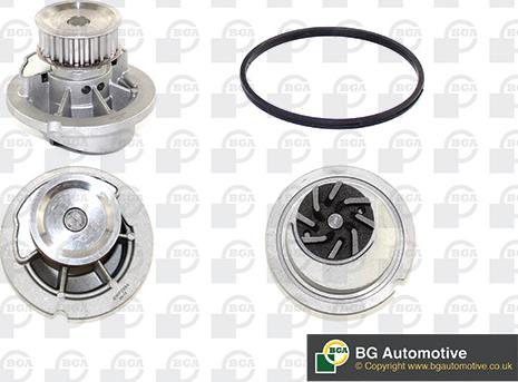 Wilmink Group WG1489143 - Water Pump autospares.lv