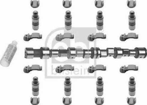 Wilmink Group WG1436629 - Camshaft Kit autospares.lv