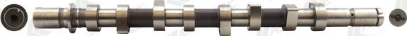 Wilmink Group WG1093069 - Camshaft autospares.lv