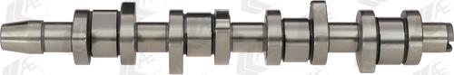 Wilmink Group WG1093064 - Camshaft autospares.lv