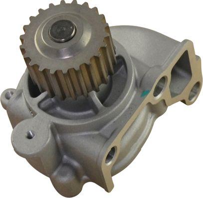 Wilmink Group WG1097544 - Water Pump autospares.lv