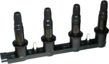 Wilmink Group WG1012539 - Ignition Coil autospares.lv