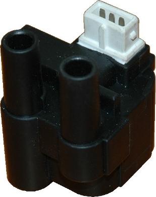 Wilmink Group WG1012178 - Ignition Coil autospares.lv