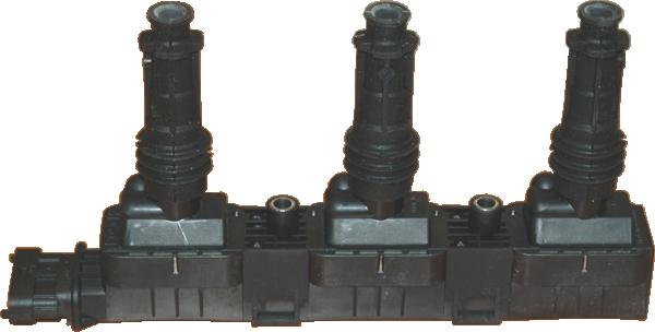 Wilmink Group WG1012310 - Ignition Coil autospares.lv