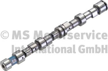 Wilmink Group WG1017618 - Camshaft autospares.lv