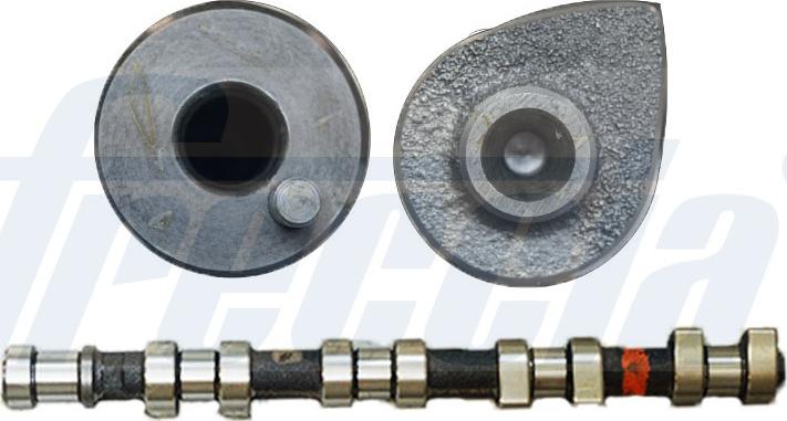 Wilmink Group WG1155387 - Camshaft autospares.lv