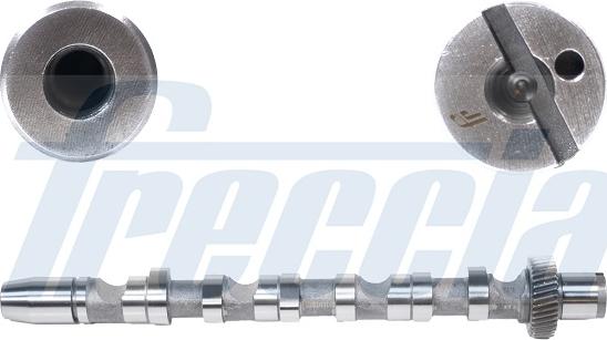 Wilmink Group WG1155338 - Camshaft autospares.lv