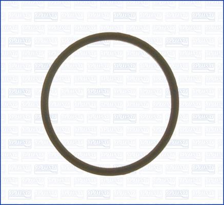 Wilmink Group WG1158258 - Gasket, thermostat autospares.lv