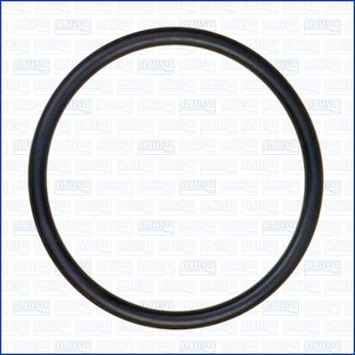 Wilmink Group WG1163666 - Gasket, thermostat autospares.lv