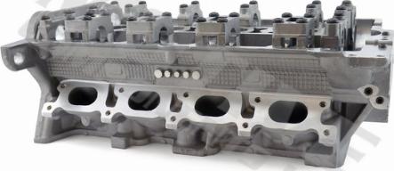 Wilmink Group WG1100199 - Cylinder Head autospares.lv