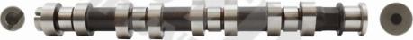 Wilmink Group WG1100172 - Camshaft autospares.lv