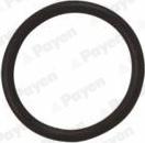 Wilmink Group WG1183107 - Seal Ring, oil drain plug autospares.lv