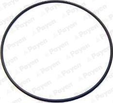Wilmink Group WG1183120 - O-Ring, cylinder sleeve autospares.lv