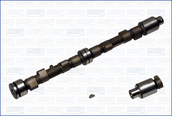 Wilmink Group WG1170832 - Camshaft autospares.lv