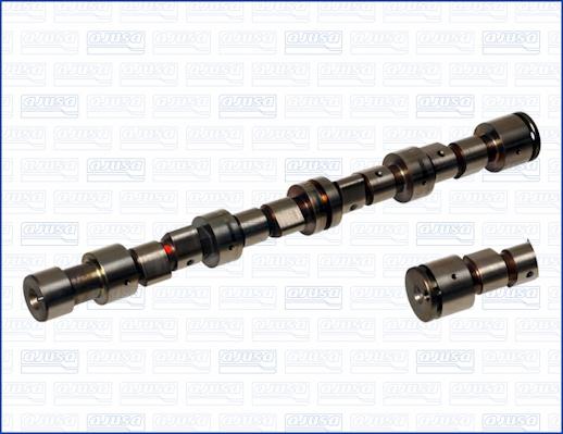 Wilmink Group WG1170789 - Camshaft autospares.lv