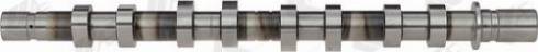 Wilmink Group WG1171941 - Camshaft autospares.lv