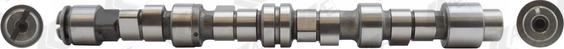 Wilmink Group WG1171942 - Camshaft autospares.lv