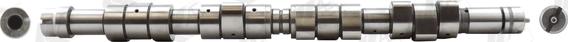 Wilmink Group WG1171905 - Camshaft autospares.lv