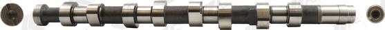 Wilmink Group WG1171914 - Camshaft autospares.lv