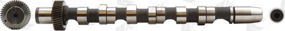 Wilmink Group WG1171922 - Camshaft autospares.lv