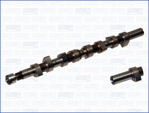 Wilmink Group WG1171407 - Camshaft autospares.lv