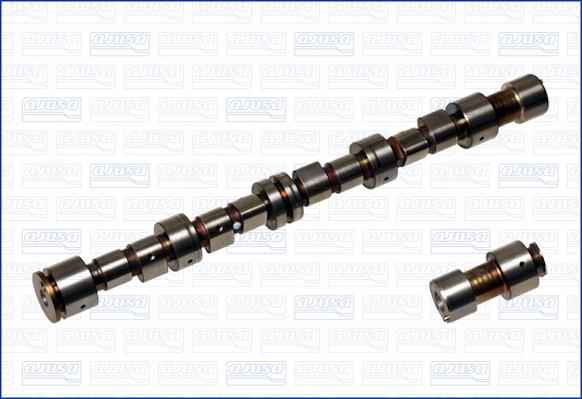 Wilmink Group WG1171048 - Camshaft autospares.lv