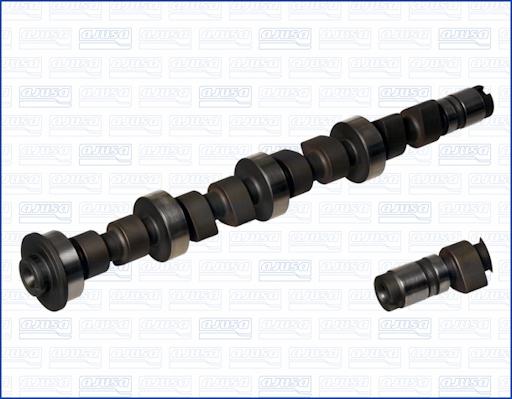 Wilmink Group WG1171065 - Camshaft autospares.lv
