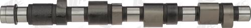 Wilmink Group WG1171893 - Camshaft autospares.lv