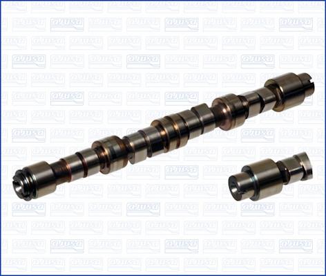 Wilmink Group WG1171263 - Camshaft autospares.lv