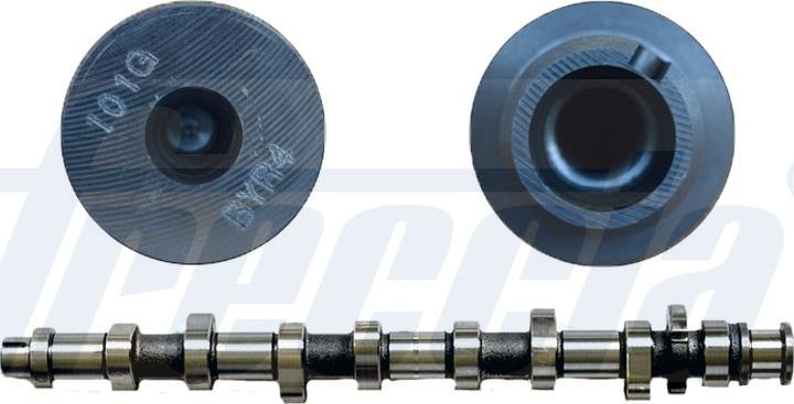 Wilmink Group WG1309197 - Camshaft autospares.lv