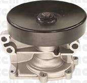 Wilmink Group WG1790184 - Water Pump autospares.lv