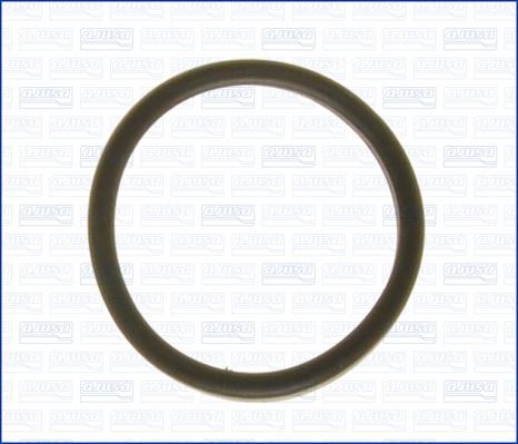 Wilmink Group WG1751409 - Gasket, thermostat autospares.lv