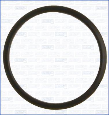 Wilmink Group WG1751096 - Gasket, thermostat autospares.lv
