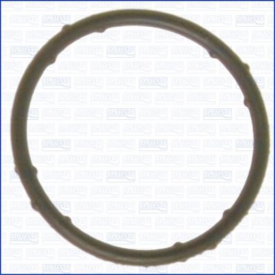 Wilmink Group WG1751295 - Gasket, coolant flange autospares.lv