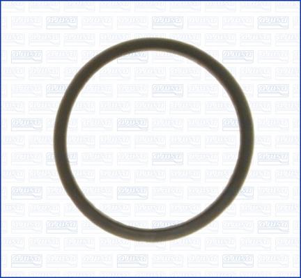 Wilmink Group WG1751202 - Gasket, thermostat autospares.lv