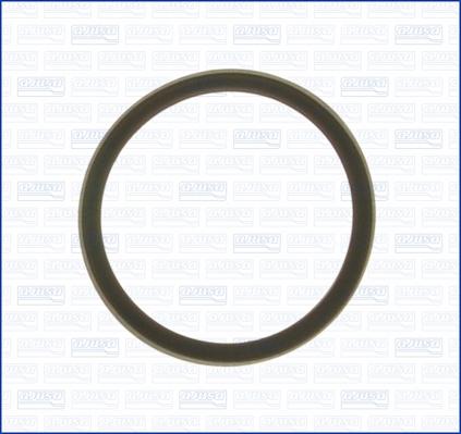 Wilmink Group WG1751239 - Gasket, thermostat autospares.lv