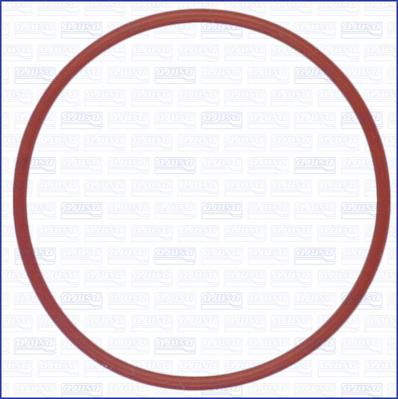 Wilmink Group WG1752099 - Gasket / Seal autospares.lv