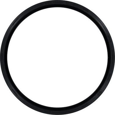 Wilmink Group WG1705937 - Shaft Seal, crankshaft autospares.lv