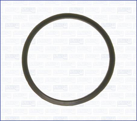 Wilmink Group WG2075489 - Gasket, thermostat autospares.lv
