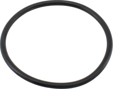 Wilmink Group WG2196049 - Gasket, thermostat autospares.lv