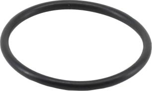 Wilmink Group WG2193966 - Gasket, thermostat autospares.lv