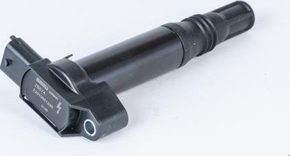 Wilmink Group WG2112942 - Ignition Coil autospares.lv
