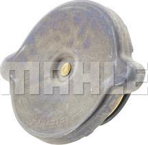 Wilmink Group WG2184247 - Sealing Cap, radiator autospares.lv