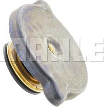 Wilmink Group WG2184247 - Sealing Cap, radiator autospares.lv