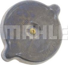 Wilmink Group WG2184247 - Sealing Cap, radiator autospares.lv