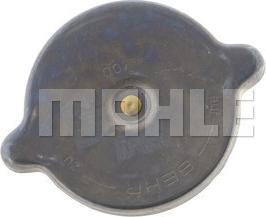 Wilmink Group WG2184247 - Sealing Cap, radiator autospares.lv