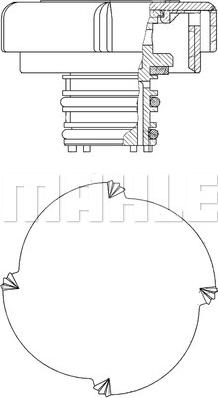 Wilmink Group WG2184228 - Sealing Cap, coolant tank autospares.lv